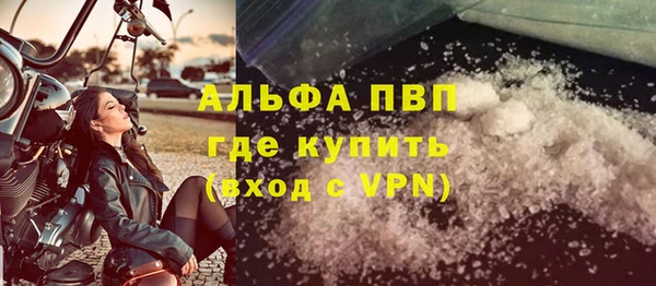 сатива Вуктыл