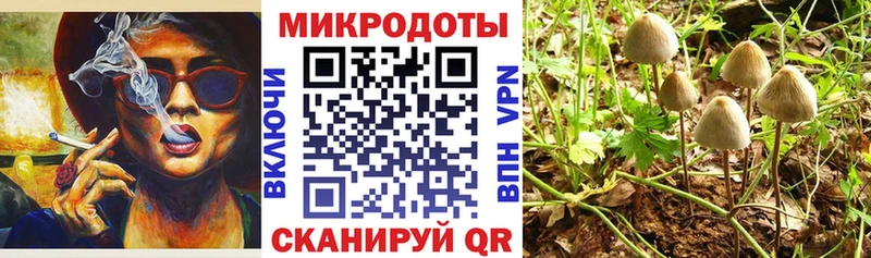 Псилоцибиновые грибы Cubensis  Зима 